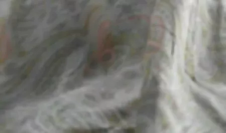 Dopo un ruvido ghiaccio hangban Asiatico Woodyoody finitura in porno mogli puttane figa