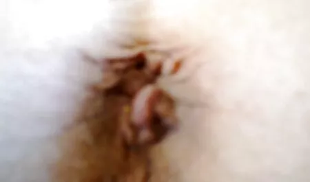 Moneta sottile sulla lama, e vide un'anatra moglie troia marito guardone