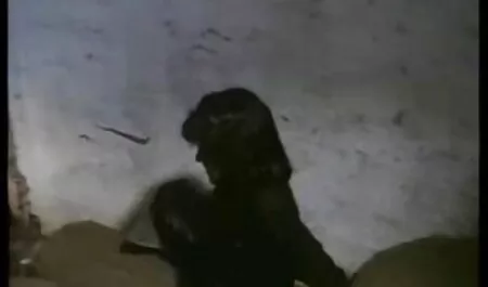 Mentre la donna quella troia di mia moglie dorme nelle vicinanze, il patrigno uccide il giovane cuoco.